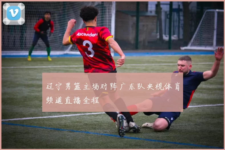 辽宁男篮主场对阵广东队央视体育频道直播全程