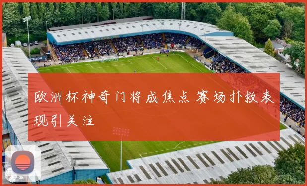 欧洲杯神奇门将成焦点 赛场扑救表现引关注