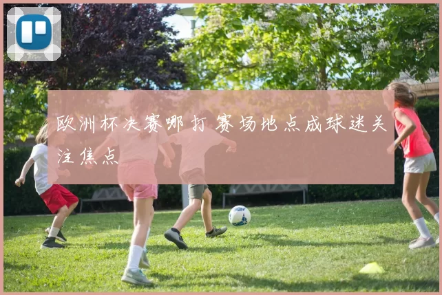 欧洲杯决赛哪打 赛场地点成球迷关注焦点