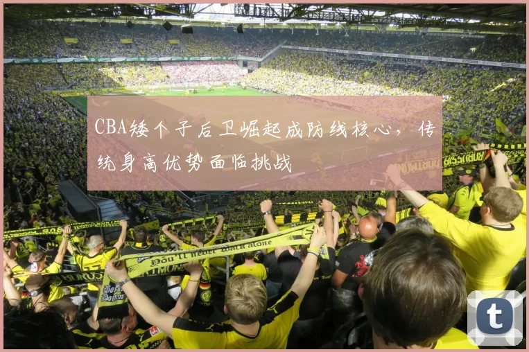 CBA矮个子后卫崛起成防线核心，传统身高优势面临挑战