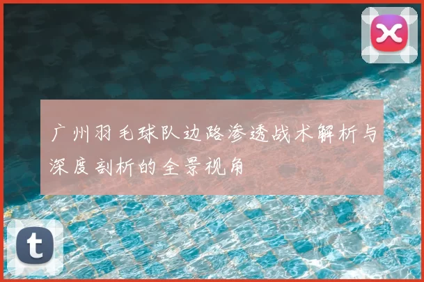 广州羽毛球队边路渗透战术解析与深度剖析的全景视角