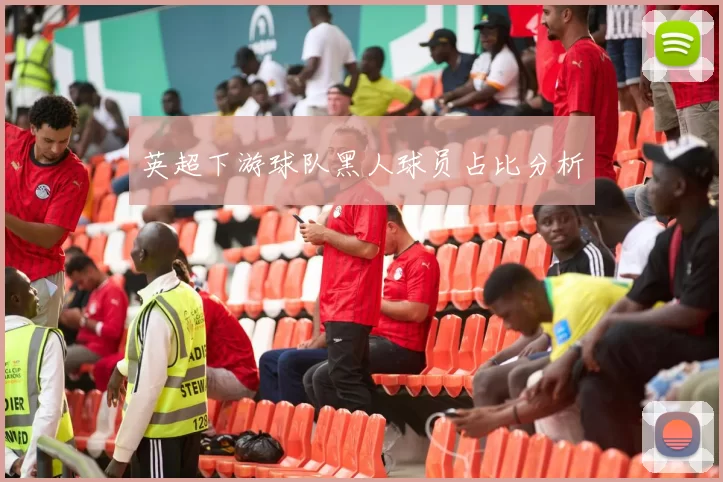 英超下游球队黑人球员占比分析