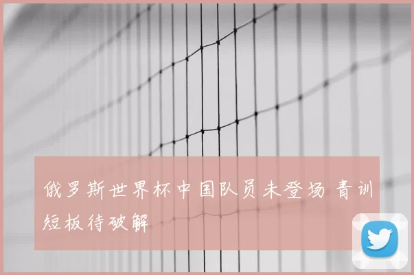 俄罗斯世界杯中国队员未登场 青训短板待破解