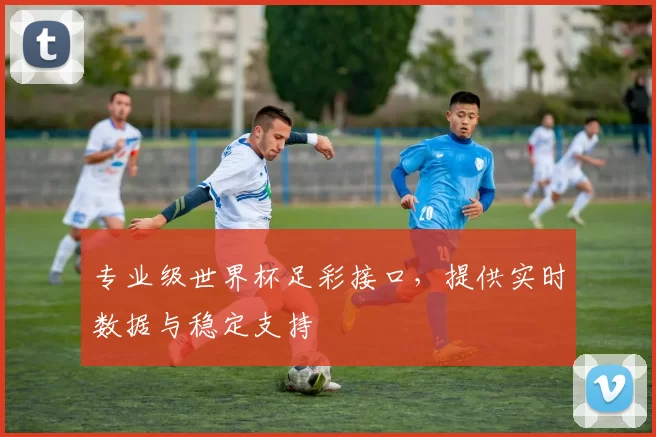 专业级世界杯足彩接口，提供实时数据与稳定支持