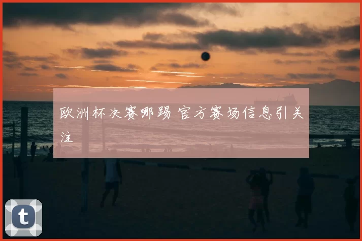 欧洲杯决赛哪踢 官方赛场信息引关注