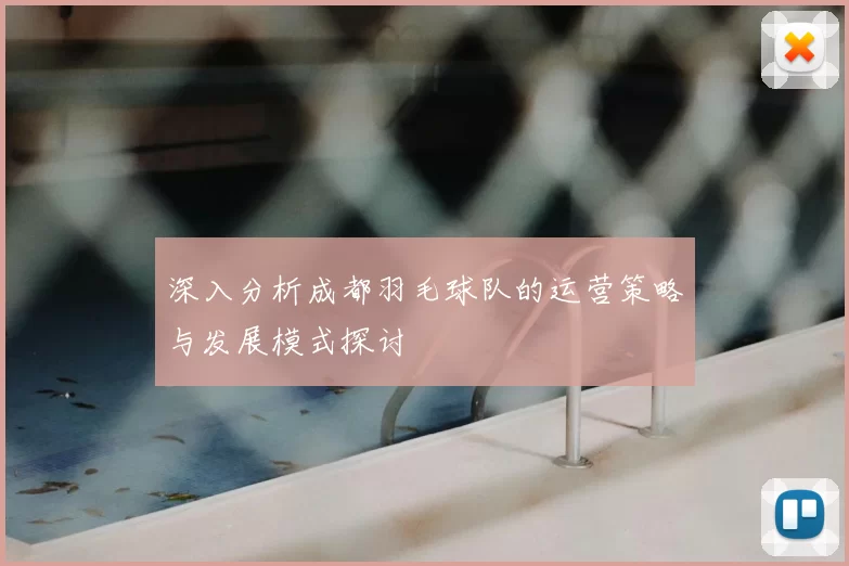 深入分析成都羽毛球队的运营策略与发展模式探讨